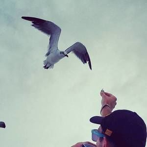 Meet your Posher, Jonathan